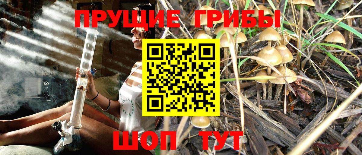 Галлюциногенные грибы прущие грибы Красногорск